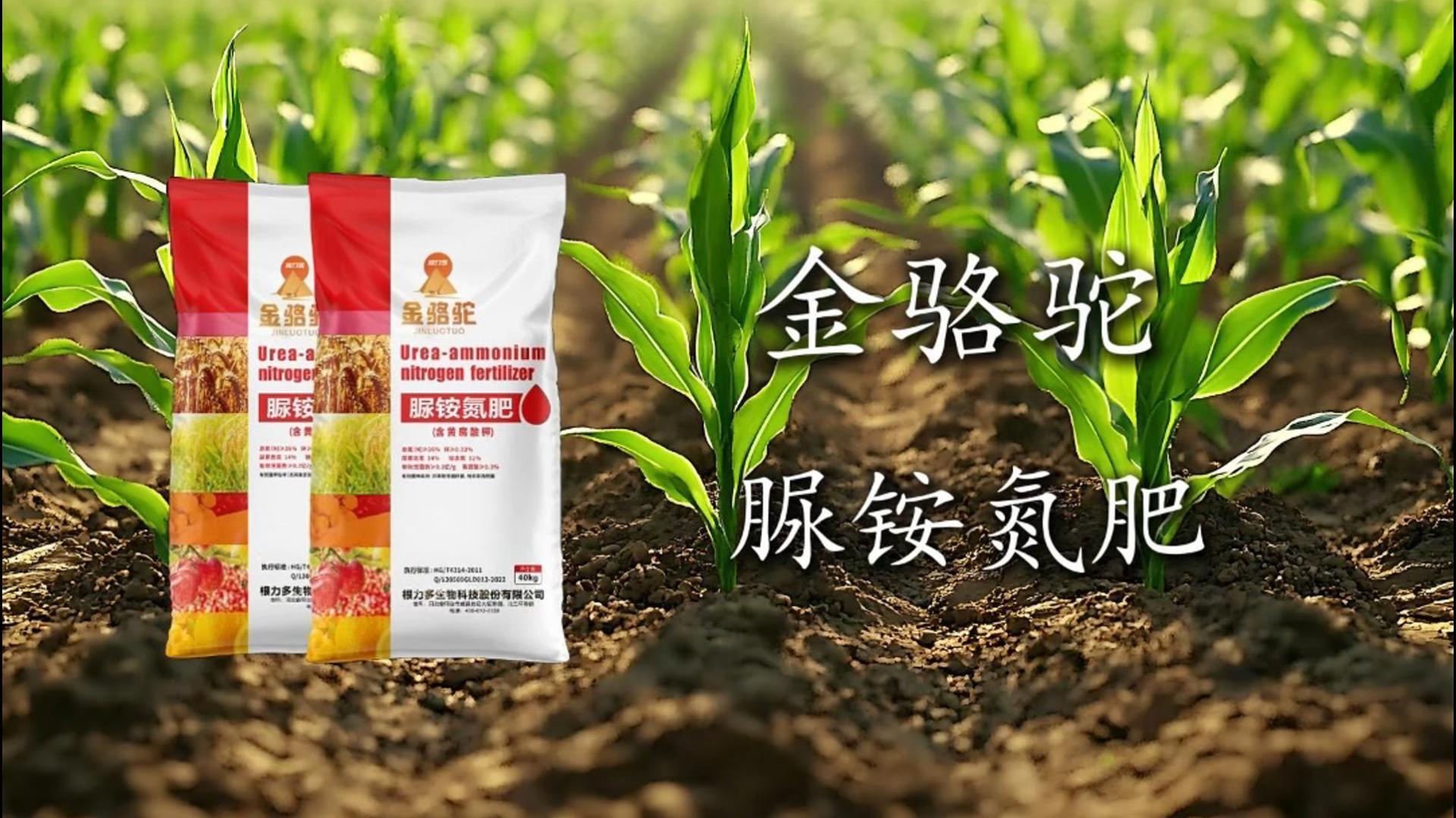 图片[1]-根力多-金骆驼-脲铵氮肥【黄腐酸 + 锌双护航 · 追肥不只是补氮这么简单】-吉林根力多科技推广有限公司