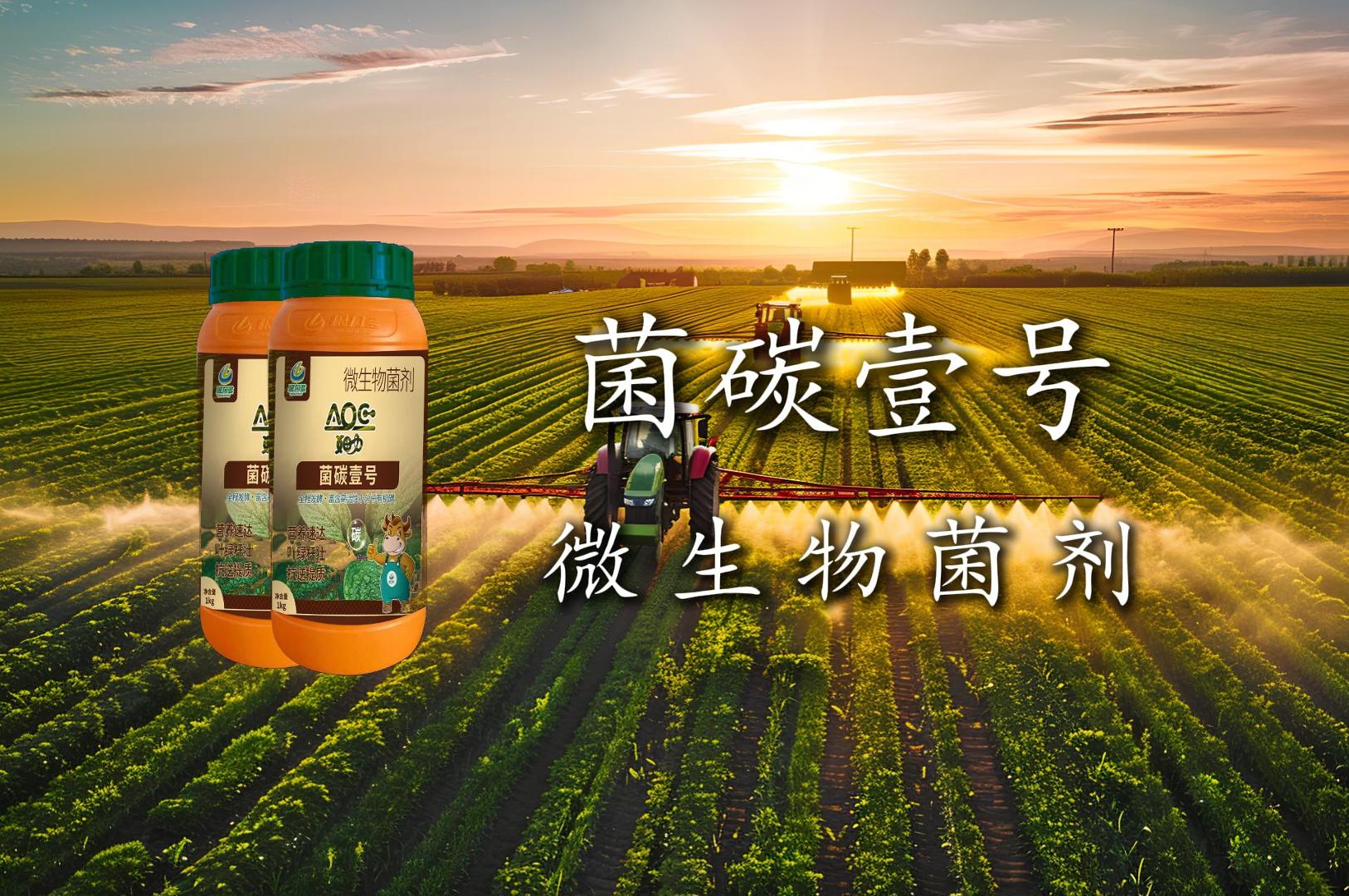 根力多-菌碳壹号【大田到大棚通用：菌碳壹号如何用 “菌力”+“碳力” 激活作物潜能】-吉林根力多科技推广有限公司